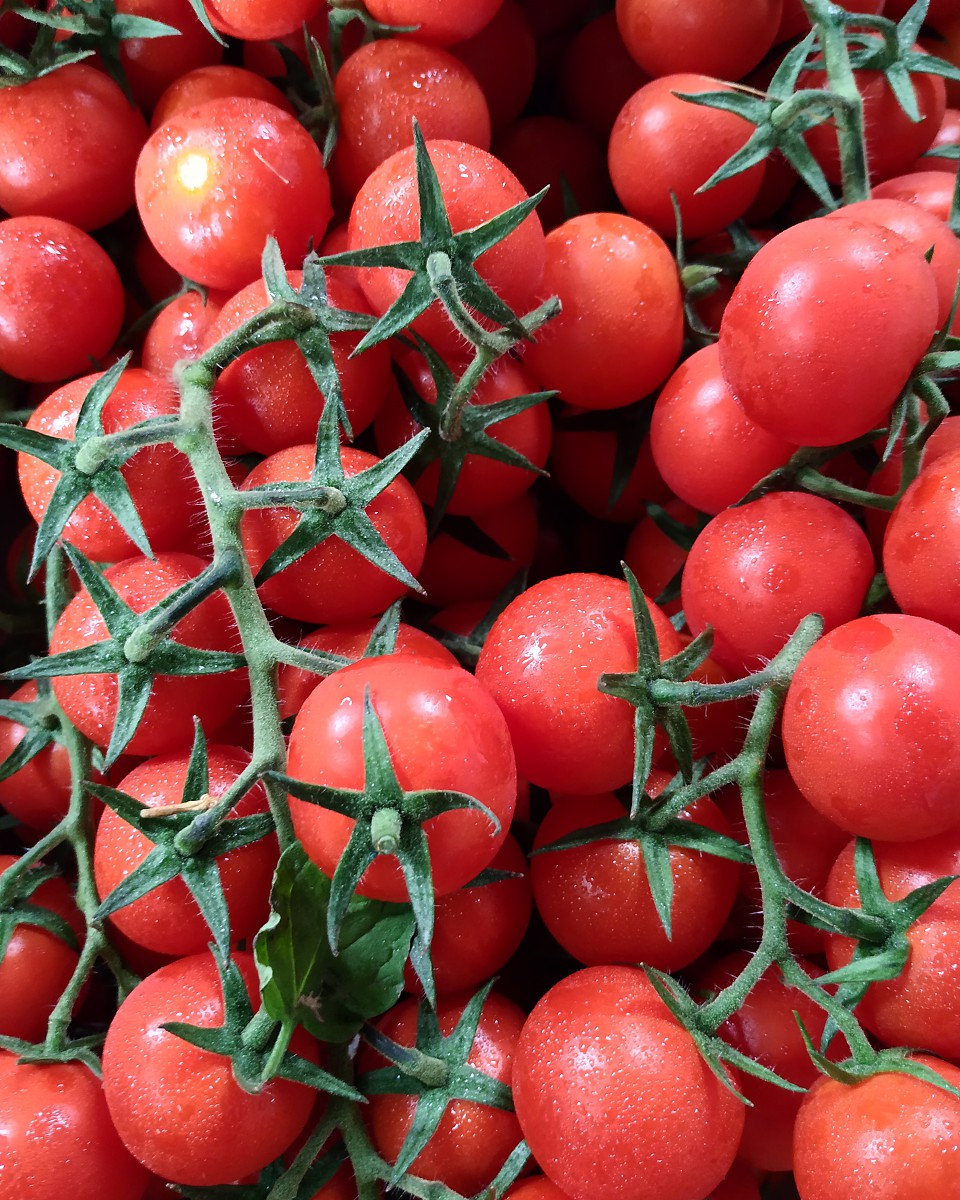 tomate cereja.jpg